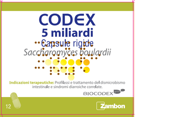 CODEX*12CPS 5MLD 250MG - Okfarmacia