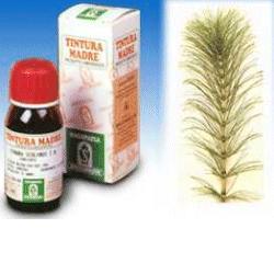 EQUISETO 12 50ML TM - Okfarmacia